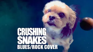 Crushing Snakes - Blues/Rock Crowder Cover - Feat. Amber