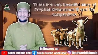 There is a very beautiful story of Prophet Muhammad ﷺ and his companions.