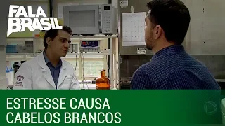 Pesquisadores apontam relação entre o estresse e os cabelos brancos