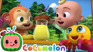 Itsy Bitsy Spider | Cocomelon Aniimal Time | Cartoons for Kids | Childerns Show | Fun | Mysteries