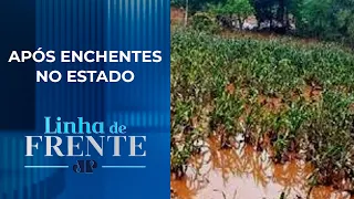 Crise no RS: Agronegócio é impactado em mais de R$ 1 bilhão | LINHA DE FRENTE