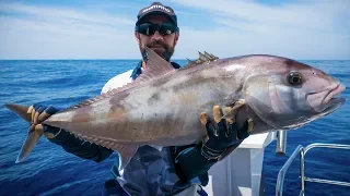 Full Samsonfish Jigging Tutorial with Nick Hocking (includes fighting the fish)