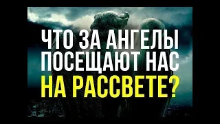 АНГЕЛЫ КОТОРЫХ АЛЛАХ ПОСЫЛАЕТ НАМ НА РАССВЕТЕ-ЧТО ОНИ ДЕЛАЮТ---ШЕИХ АМАР