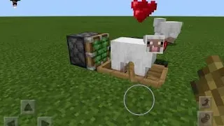 How to make a Sheep🐑Fricker 😂😂