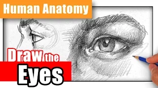 How to Draw the Eye - Different Angles