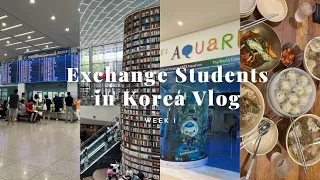 Exchange Students in Korea Vlog | Week 1