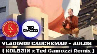 VLADIMIR CAUCHEMAR - AULOS ( KOLBEIN x Ted Camozzi Remix )