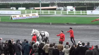 14.02.16. ВЕНСЕННСКИЙ ИППОДРОМ, ДЖИГИТОВКА ИЗ РОССИИ