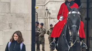 Soldiers inspect the horse boxes #horseguardsparade