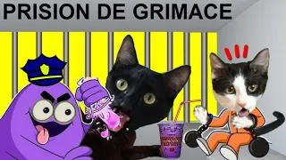 Escape de la prision de Grimace Shake roblox jugando con gatos Luna y Estrella / Gameplay en español