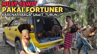 Muat Sawit Pakai Mobil Fortuner!