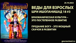 Веды для взрослых. Шри Ишопанишад 18 #3