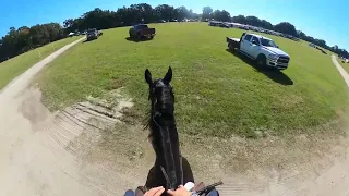 GoPro: Capo dei Capi (Training | 2023 Majestic Oaks Schooling Show II)