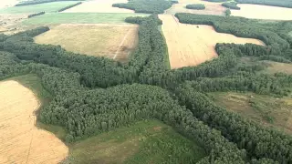 The Russian plain. The Ryazan region./Русская равнина. Рязанская область.