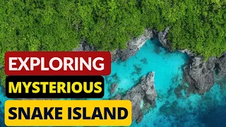 Exploring Snake Island: The World's Most Dangerous Place