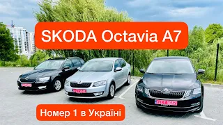 SKODA Octavia A7 нові надходження