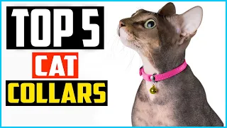 ✅Top 5 Best Cat Collars Review in 2024