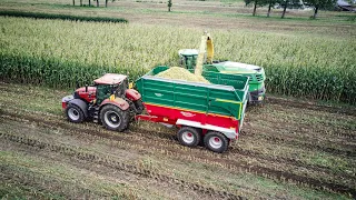 Maize Harvest 2023 NZ-Reymer AG