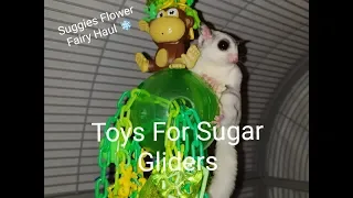 Sugar Glider Toys Haul | Suggies Flower Fairy