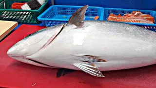 일방! 기름가득 돼지방어 회뜨기! Japanese amberjack