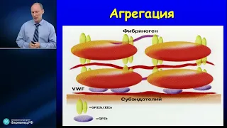 Система гемостаза в интенсивной терапии Мазурок В.А