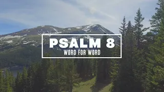 Psalm 8: Word For Word (Lyric Video) • ESV Scripture Song