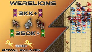 [Tibia Hunting Guide] 300+ RP - Werelions