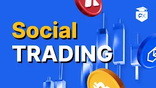 Mastering Social Trading - A How To Guide