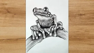 How to Draw a Frog Step by Step | Realistic Frog Drawing Tutorial