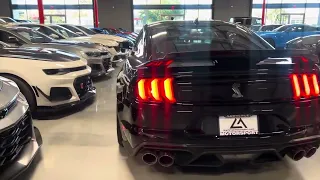 2020 GT500 at Lawrence Motorsport