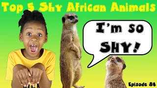 Top 5 Shyest Animals in Africa | Kids Black History