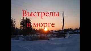 Выстрелы в морге