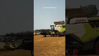 CLAAS Lexion 8700TT & CAT Lexion 595R #short #viral #grow #youtube #claas #cat