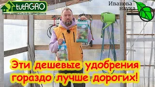 ВНЕСИТЕ ЭТО УДОБРЕНИЕ С ВЕСНЫ И ПОДКОРМКИ БУДУТ НЕ НУЖНЫ! Это дешевое удобрение лучше дорогих!