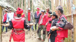 Tribal Loreto Agusan del Sur