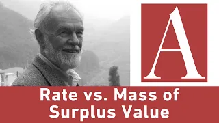 Anti-Capitalist Chronicles: Rate vs. Mass of Surplus Value