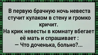 Как Невеста в Брачную Ночь в Стену Стучала! Сборник Свежих Анекдотов! Юмор!