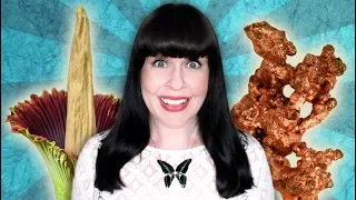 ASK A MORTICIAN: Corpse Flowers, Affordable Funerals, & Electroplating the Dead