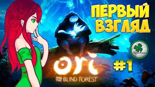 ORI AND THE BLIND FOREST | ВСТРЕЧА С ДРУГОМ #1