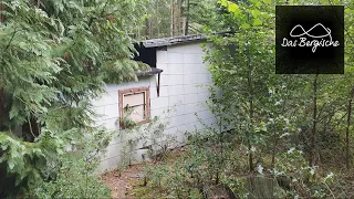 verlassene Jagdhütte im Wald🏚