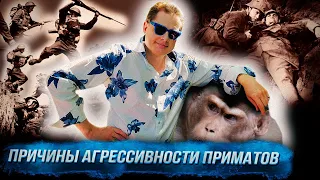 Понасенков научно объясняет причину агрессивности приматов. 18+