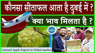 सीताफल का एक्सपोर्ट मार्केट  Custard Apple Export market - India Fruit Export