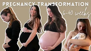 PREGNANCY TRANSFORMATION | Week By Week Belly Growth! 6-40 Weeks Pregnant