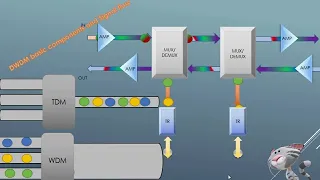 DWDM signal flow in optical network with telecom #telecom #optical #DWDM