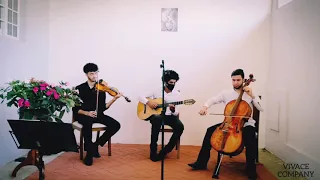 The Sound of Silence - Violin & Cello & Guitar - Cover by VIVACE COMPANY