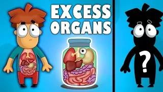 It Will Happen To Your Body If You Remove These 5 Organs