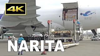 [4K] Cargo Unloading - ANA Cargo Boeing 777-F at Tokyo Narita Airport / 成田空港