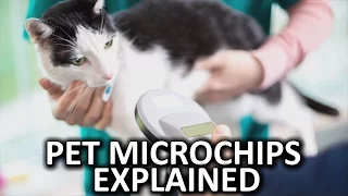 How Do Pet Microchips Work?