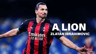 I'm not arrogant, just confident | Zlatan Ibrahimovic Motivation