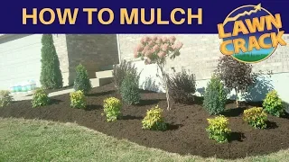 Mulch Like a Pro | How to Mulch Tutorial | How to Mulch and Edge | Landscaping Tips | LawnCrack